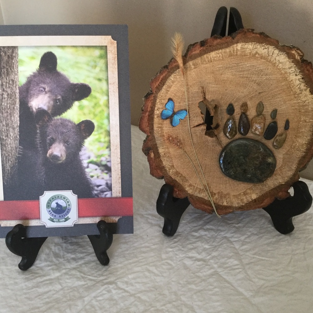 Bear Claw Artwork By Robin Thomas